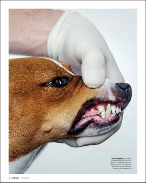 verdensgang_helg-20151003_000_00_00_040.pdf