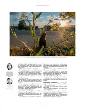 verdensgang_helg-20151219_000_00_00_036.pdf