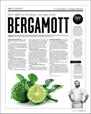 verdensgang_helg-20160220_000_00_00_063.pdf