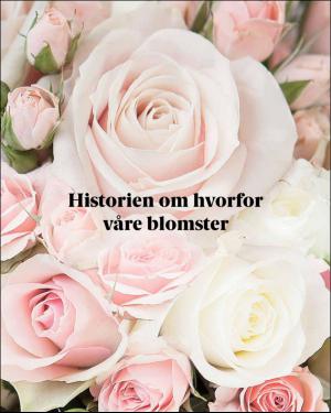 verdensgang_helg-20160423_000_00_00_002.pdf