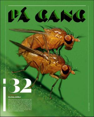 verdensgang_helg-20160423_000_00_00_007.pdf
