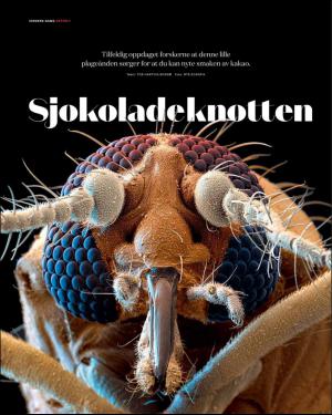 verdensgang_helg-20160521_000_00_00_028.pdf