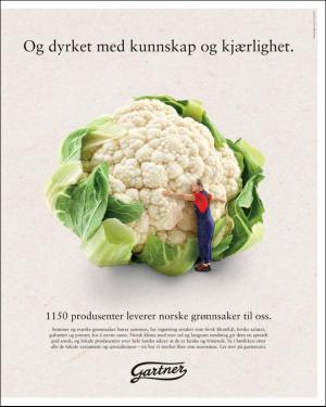 verdensgang_helg-20160625_000_00_00_003.pdf