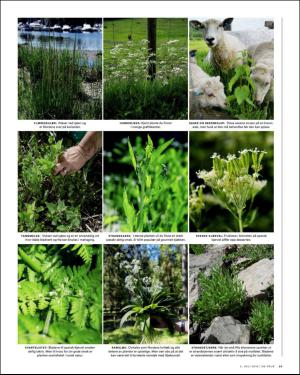 verdensgang_helg-20160702_000_00_00_033.pdf