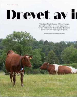 verdensgang_helg-20160702_000_00_00_040.pdf