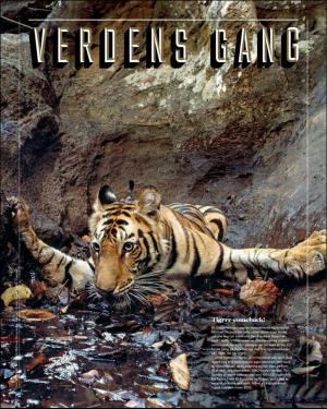 verdensgang_helg-20160813_000_00_00_015.pdf