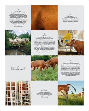 verdensgang_helg-20161029_000_00_00_021.pdf