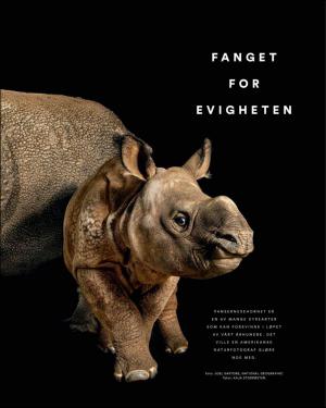 verdensgang_helg-20170225_000_00_00_033.pdf