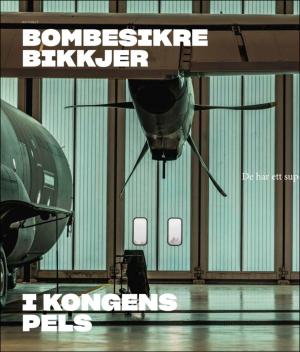 verdensgang_helg-20190406_000_00_00_024.pdf
