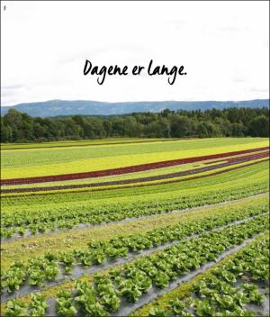 verdensgang_helg-20190615_000_00_00_036.pdf