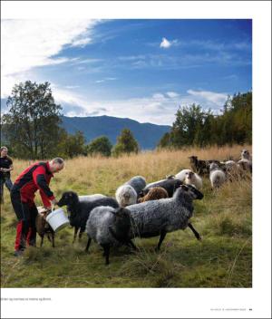 verdensgang_helg-20191109_000_00_00_021.pdf