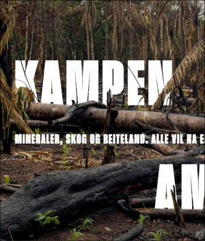 verdensgang_helg-20200104_000_00_00_004.pdf