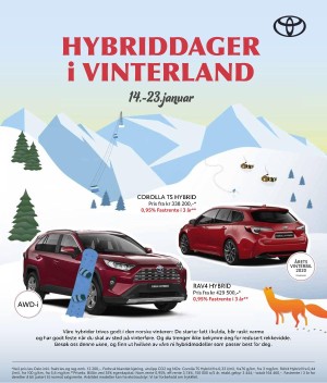 verdensgang_helg-20210116_000_00_00_007.pdf