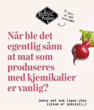 verdensgang_helg-20210320_000_00_00_047.pdf