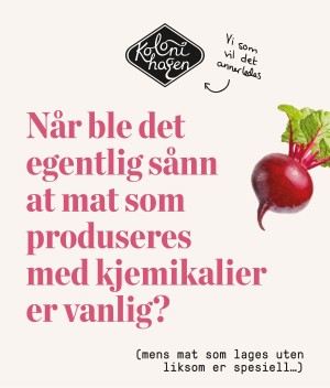 verdensgang_helg-20210403_000_00_00_016.pdf