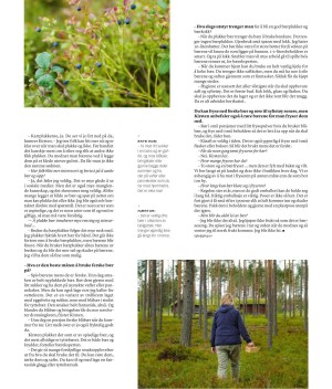 verdensgang_helg-20210904_000_00_00_049.pdf