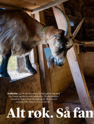 verdensgang_helg-20251213_000_00_00_006.pdf