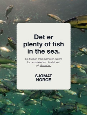 verdensgang_helg-20251227_000_00_00_029.pdf