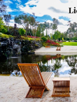 verdensgang_helg-20260124_000_00_00_030.pdf