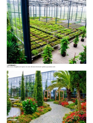 verdensgang_helg-20260124_000_00_00_035.pdf