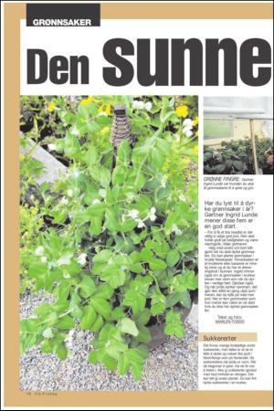 verdensgang_pluss-20110429_000_00_00_016.pdf