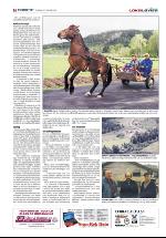 verran-20100127_000_00_00_016.pdf