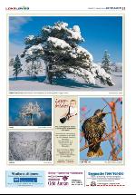 verran-20100127_000_00_00_031.pdf