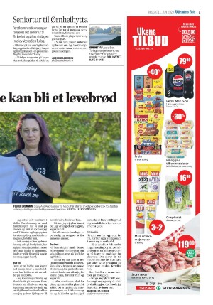 vesteraalensavis-20240611_000_00_00_003.pdf