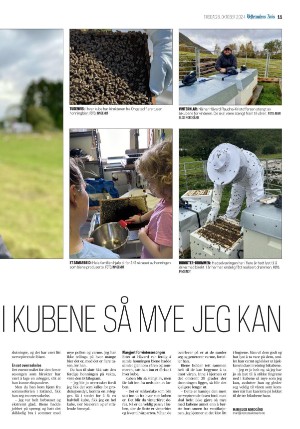 vesteraalensavis-20241008_000_00_00_011.pdf