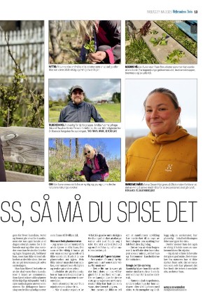 vesteraalensavis-20250527_000_00_00_013.pdf
