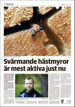 vestmanlandslanstidning-20200703_000_00_00_014.pdf
