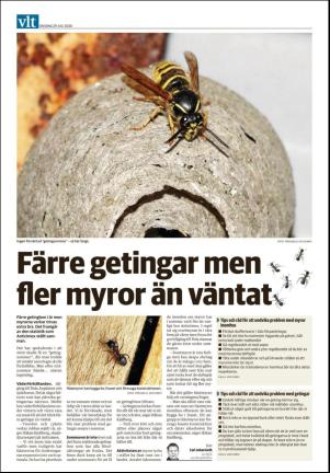 vestmanlandslanstidning-20200729_000_00_00_020.pdf