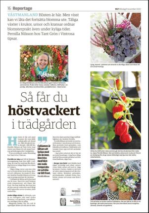 vestmanlandslanstidning-20201109_000_00_00_016.pdf