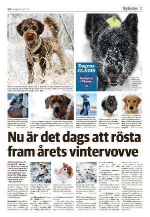 vestmanlandslanstidning-20210119_000_00_00_011.pdf