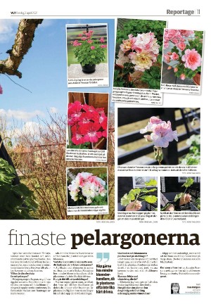 vestmanlandslanstidning-20210402_000_00_00_011.pdf