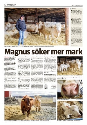 vestmanlandslanstidning-20210406_000_00_00_006.pdf