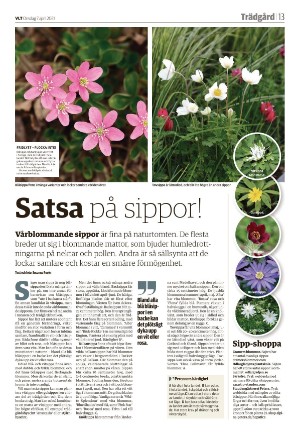 vestmanlandslanstidning-20210407_000_00_00_013.pdf