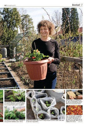 vestmanlandslanstidning-20210506_000_00_00_017.pdf