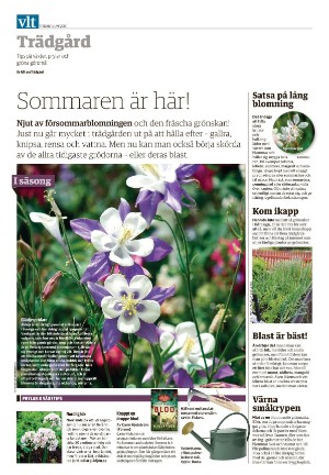 vestmanlandslanstidning-20210601_000_00_00_024.pdf