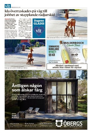 vestmanlandslanstidning-20210617_000_00_00_032.pdf