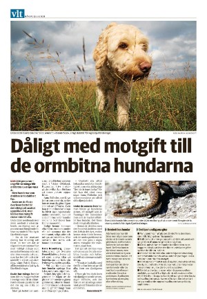 vestmanlandslanstidning-20210712_000_00_00_024.pdf