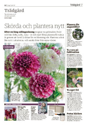 vestmanlandslanstidning-20210727_000_00_00_017.pdf