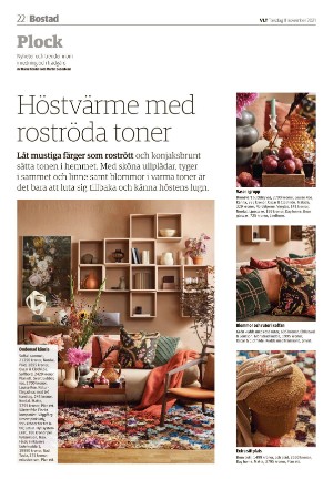 vestmanlandslanstidning-20211111_000_00_00_022.pdf