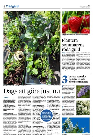 vestmanlandslanstidning-20250513_000_00_00_008.pdf