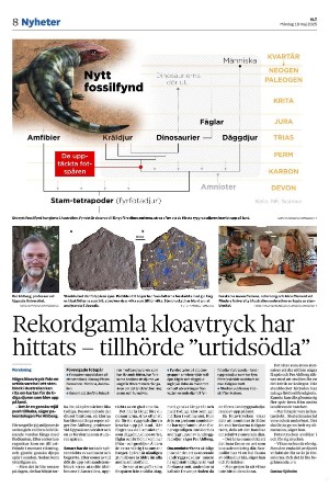 vestmanlandslanstidning-20250519_000_00_00_008.pdf