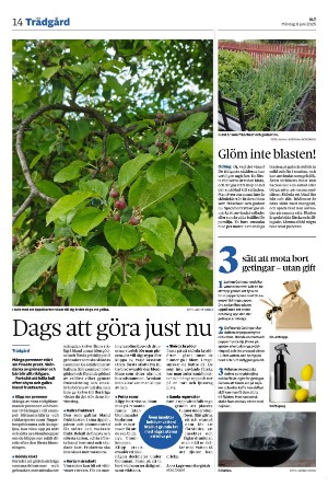 vestmanlandslanstidning-20250609_000_00_00_014.pdf