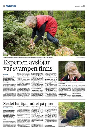 vestmanlandslanstidning-20250717_000_00_00_008.pdf