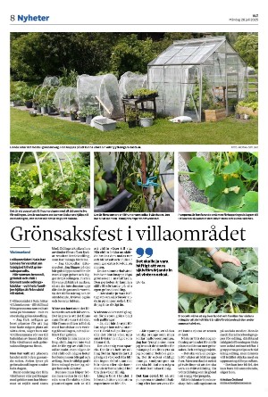vestmanlandslanstidning-20250728_000_00_00_008.pdf