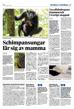 vestmanlandslanstidning-20250808_000_00_00_013.pdf