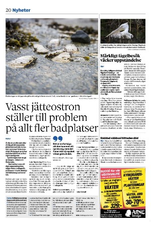 vestmanlandslanstidning-20250813_000_00_00_020.pdf